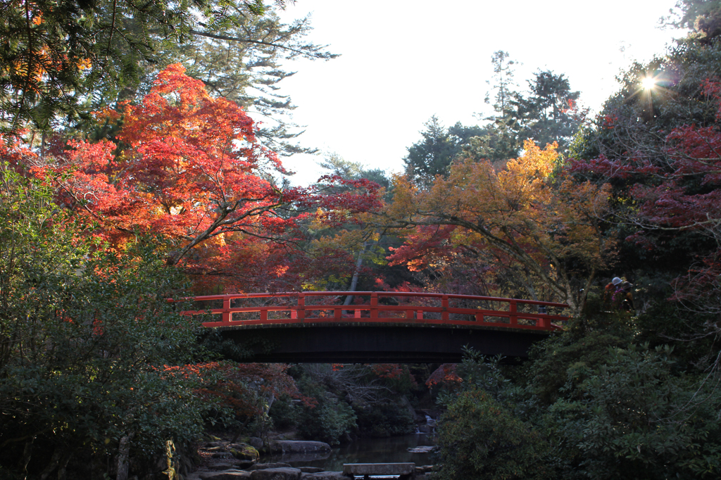 宮島紅葉