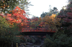 宮島紅葉