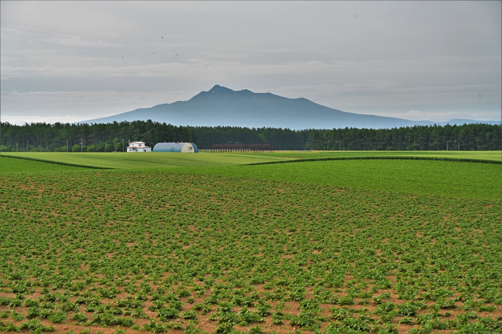 斜里岳の見える風景