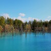 秋の青い池1
