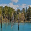秋の青い池2