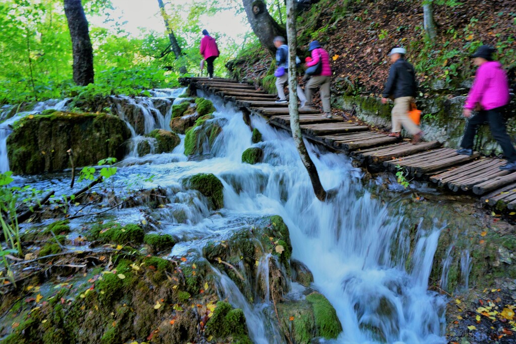 水のある景色