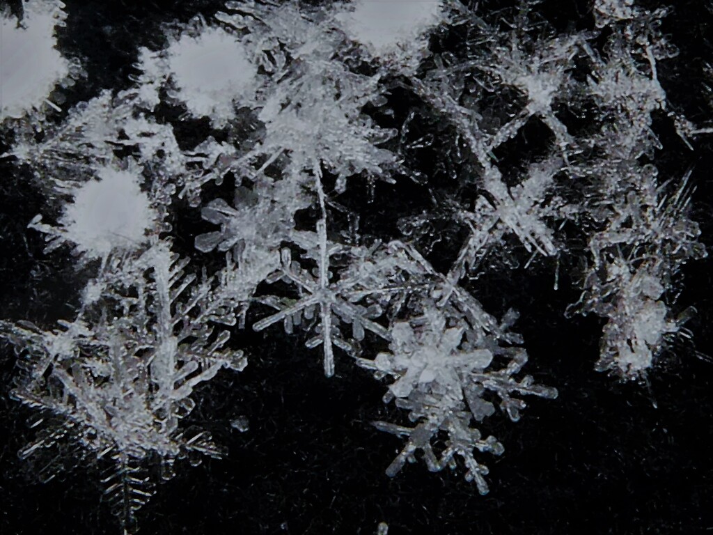 雪