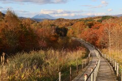 秋の散策路（１）