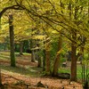 静かな公園