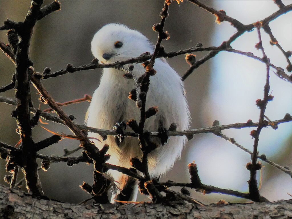 悩み