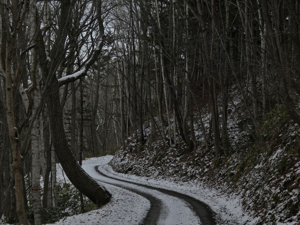 林道