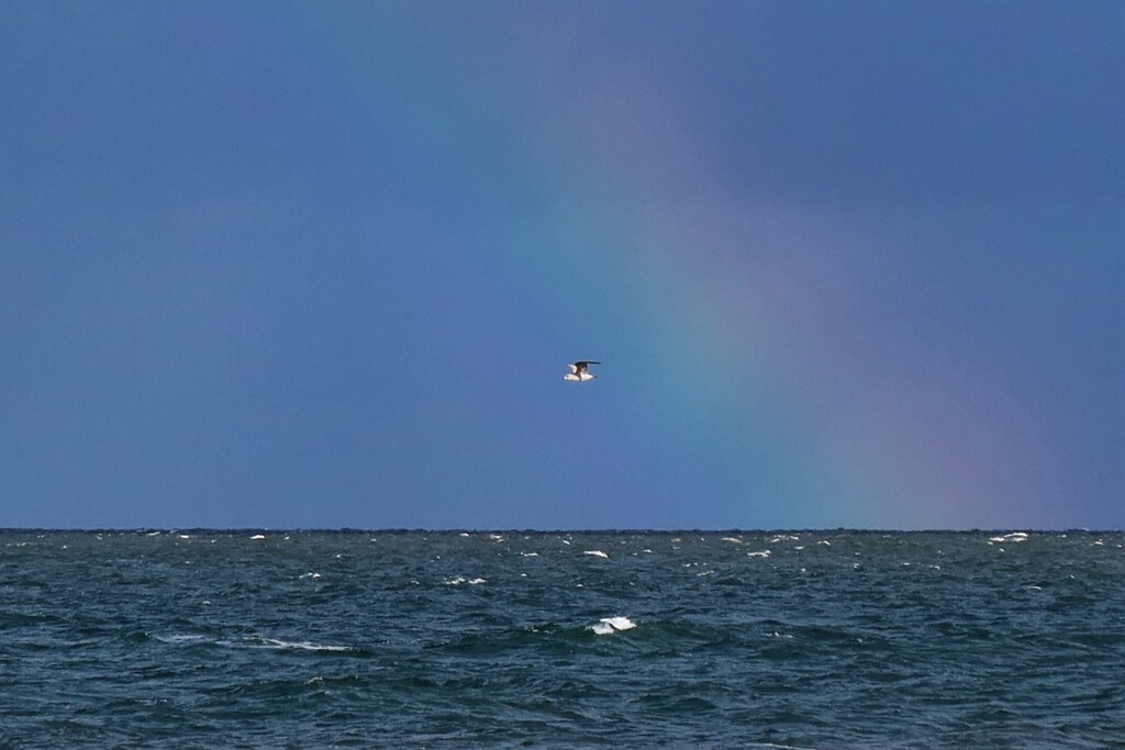 Over The Rainbow