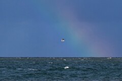 Over The Rainbow