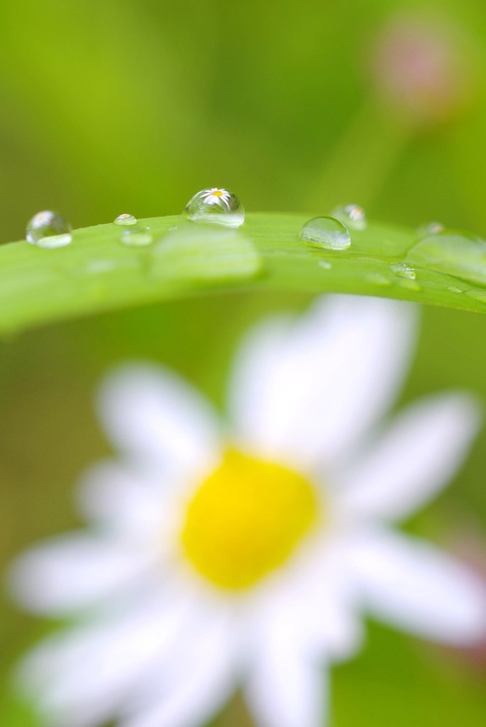 雨の魔法。