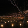 2011鴨川棚田の夜祭り