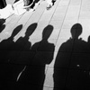 shadow