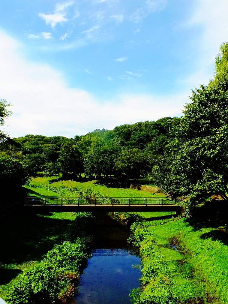 夏の一景色