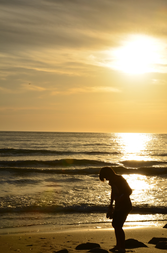 夏の夕陽