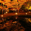 鏡面ライトアップ紅葉
