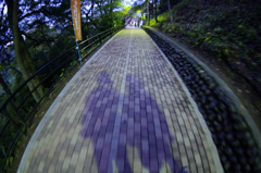 影と一緒に