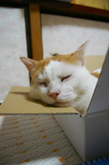 あぁ～疲れた･･･。