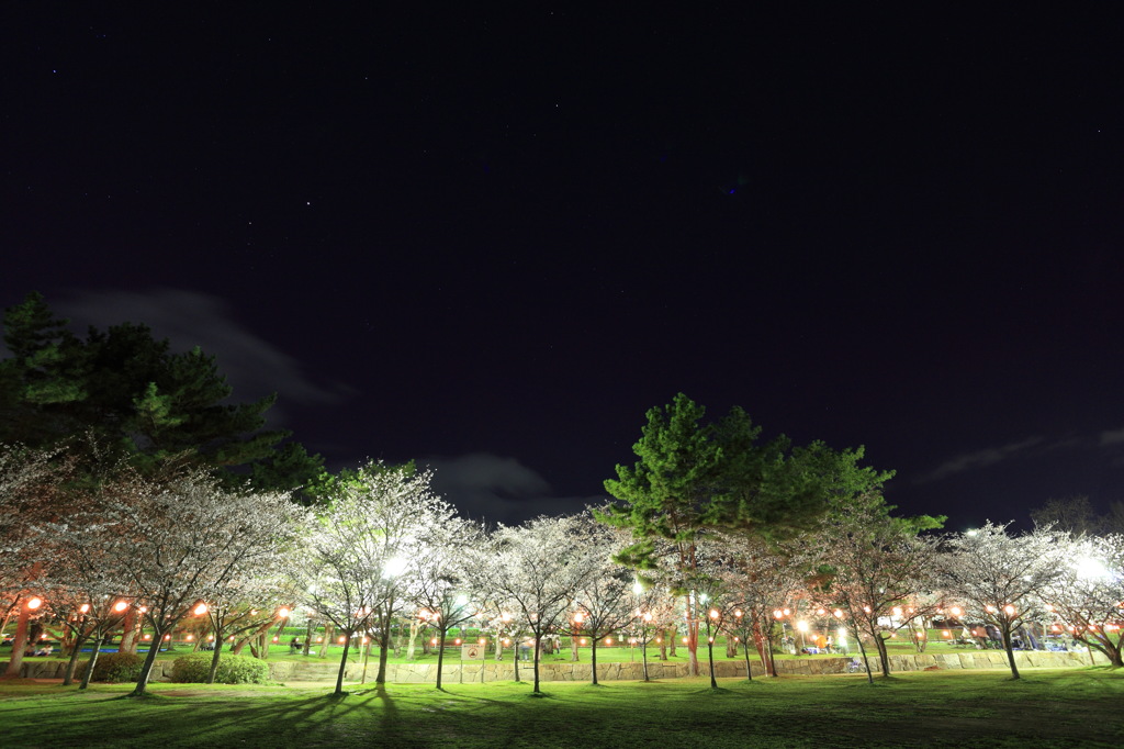 酒津公園