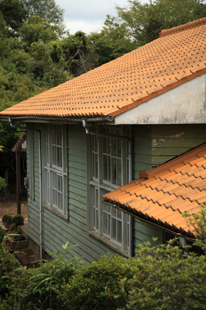 山の学校