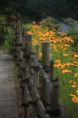 花道