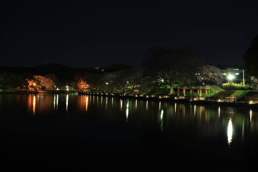 夜の酒津公園２