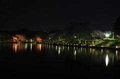 夜の酒津公園２