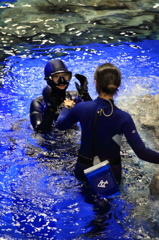 水族館の女神