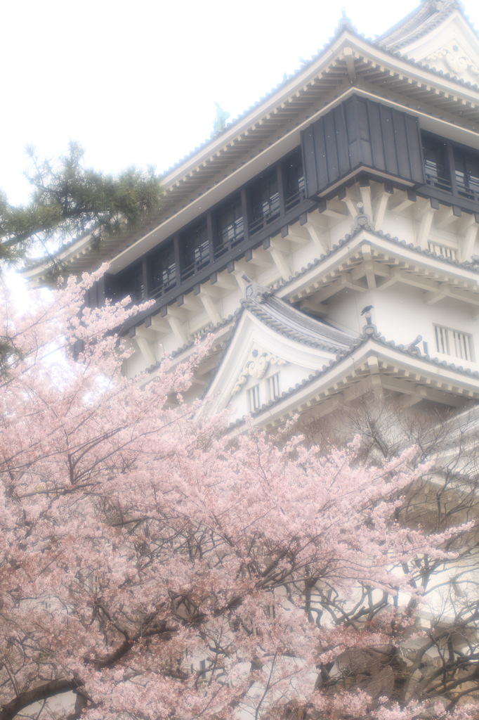 桜飾り