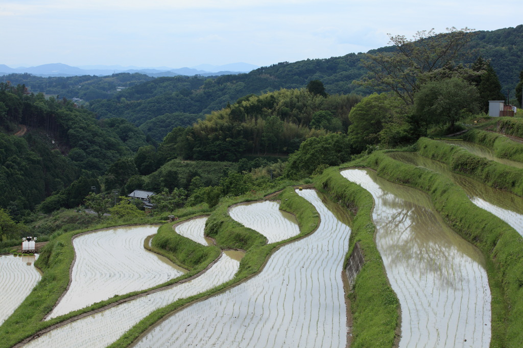 大垪和の棚田