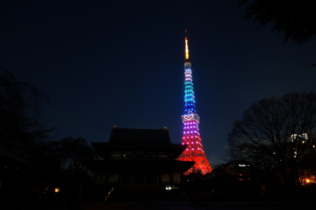 夜景 (83)