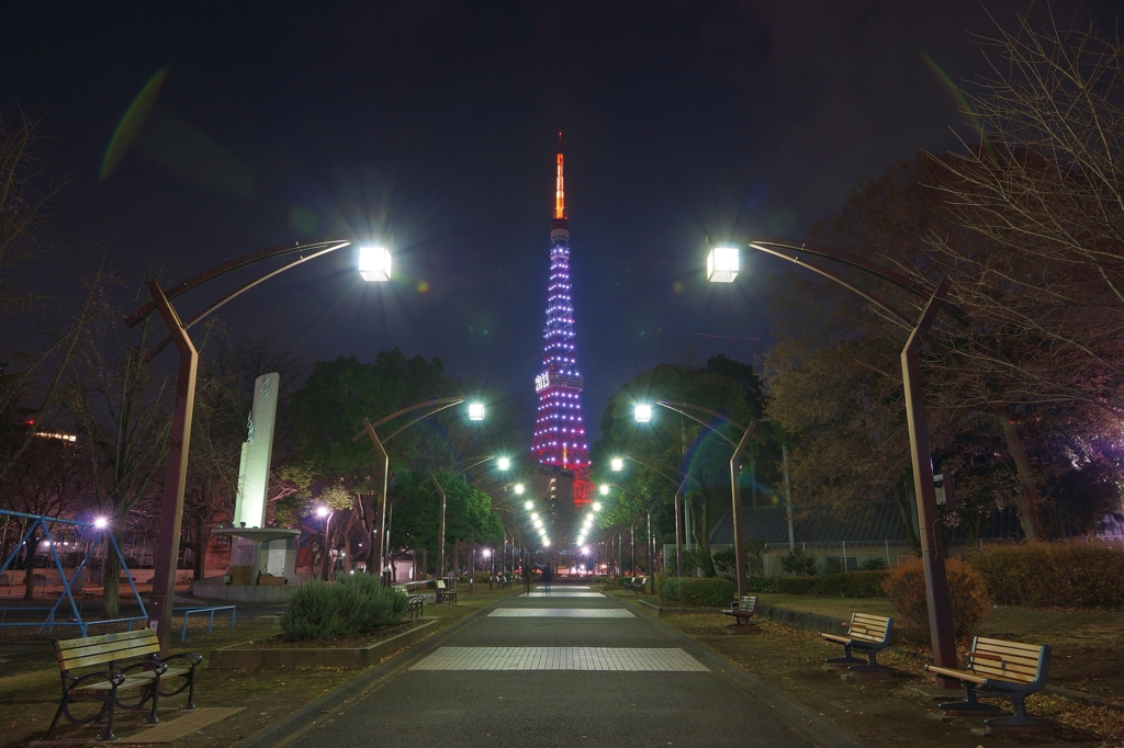 夜景 (106)