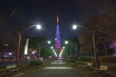 夜景 (106)