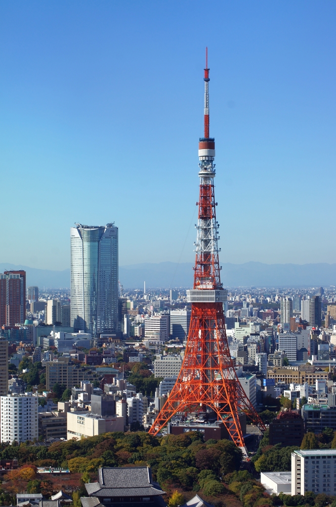 東京