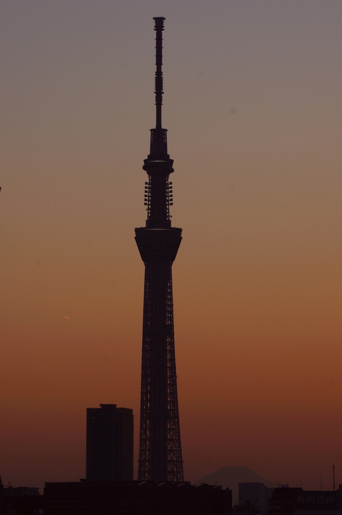 夜景 (59)
