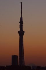 夜景 (59)