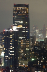 夜景 (35)