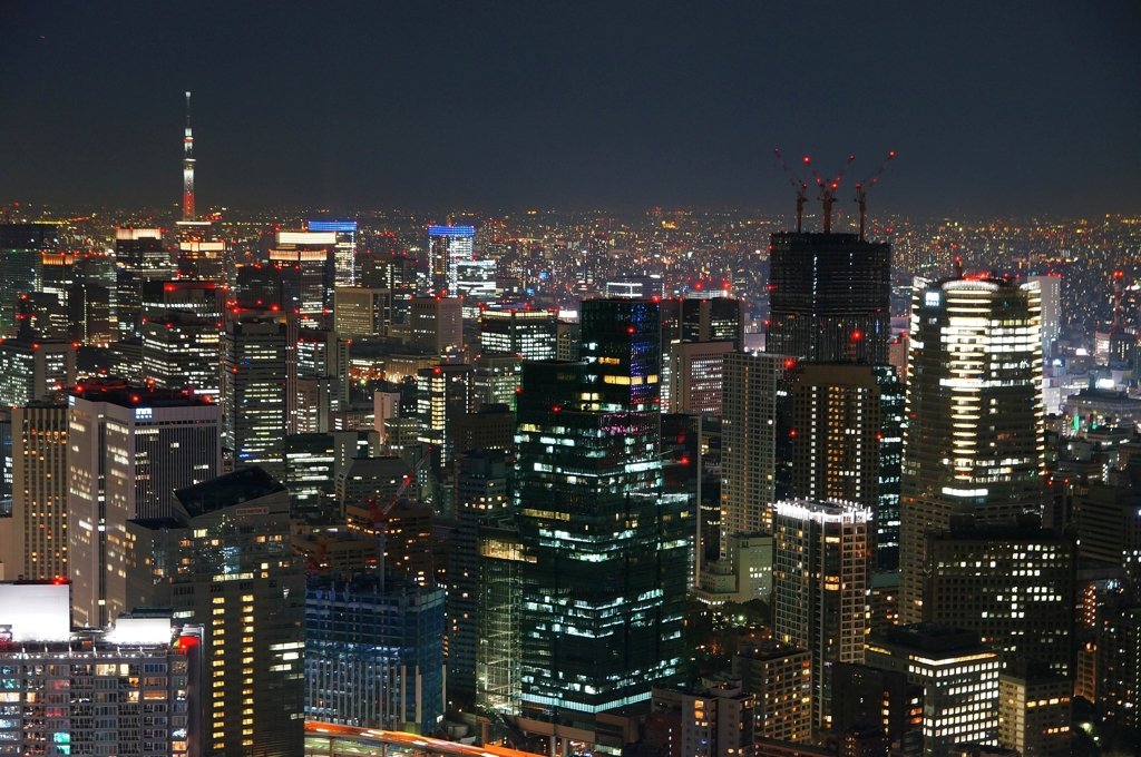 夜景 (88)