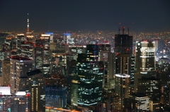 夜景 (88)