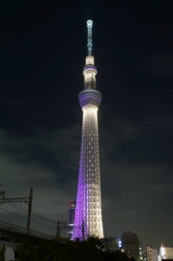 夜景 (29)