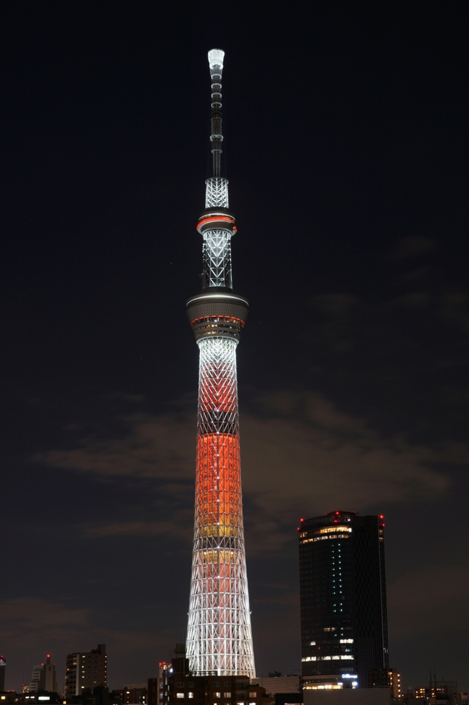 夜景 (84)