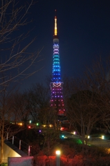 夜景 (82)