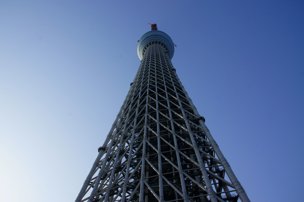 スカイツリー