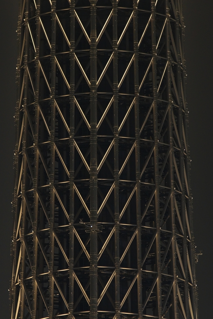 夜景 (24)