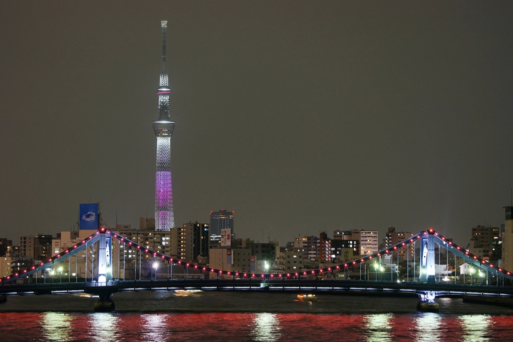 スカイツリーと清洲橋