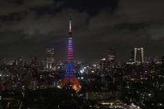 夜景 (28)