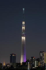 スカイツリー