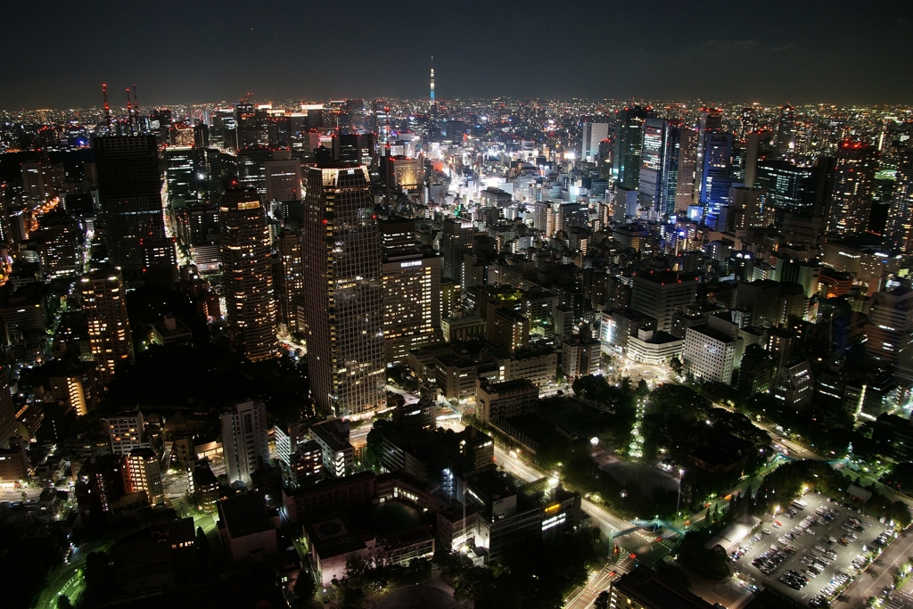 夜景 (55)
