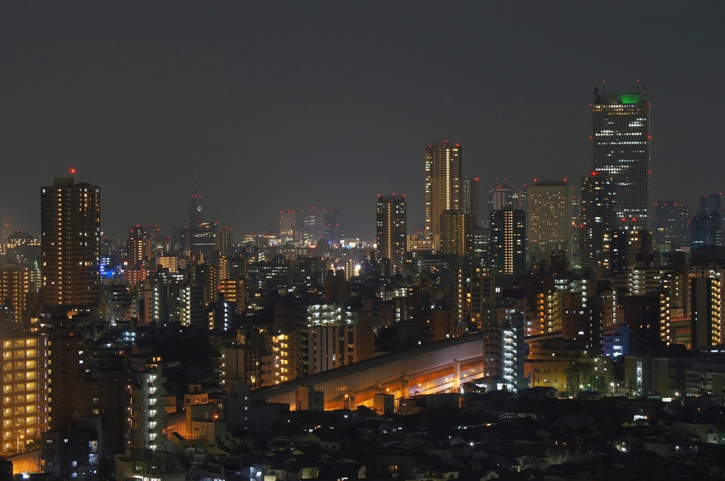 夜景 (48)