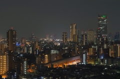 夜景 (48)