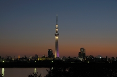 スカイツリー